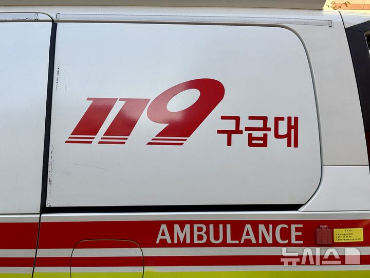 경북 경산 농장에서 '소 10마리' 탈출 소동…포획해 인계