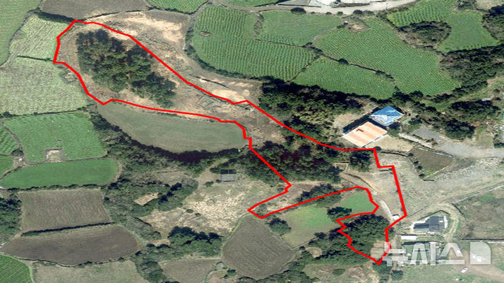 [제주=뉴시스] 2023년부터 2024년까지 제주시 구좌읍 소재 산림을 무단 훼손한 60대가 구속됐다. 사진은 제주도자치경찰단이 11일 공개한 산림 훼손 지역. (사진=제주도자치경찰단 제공) 2025.11.11. photo@newsis.com