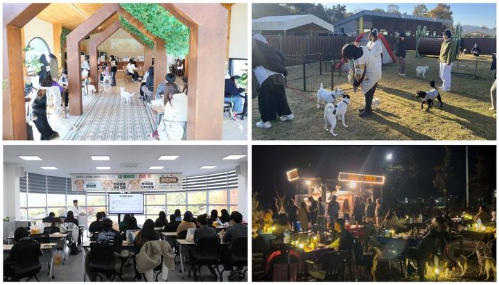 [임실=뉴시스] 지난 9일과 10일 임실 오수국민여가캠핑장에서 열린 '임실로 떠나는 입양 교감 캠핑'이 진행 중이다. *재판매 및 DB 금지