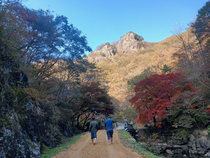담양 가마골생태공원 흙길. (사진=담양군 제공)  *재판매 및 DB 금지