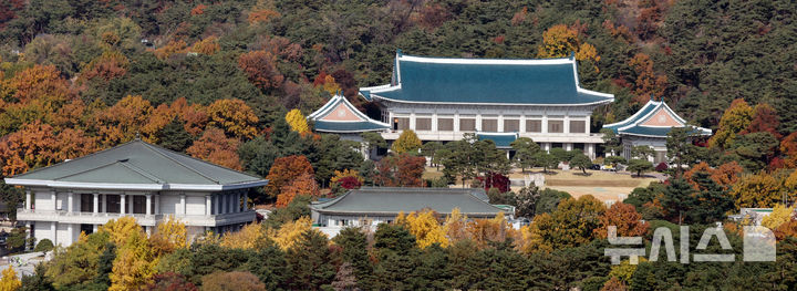 [서울=뉴시스] 김명원 기자 = 대통령실이 다음 달 14일 전후 서울 용산에 있는 대통령 집무실 등을 청와대로 이전할 것으로 전해진 가운데 11일 서울 종로구에서 바라본 청와대 모습이 농익은 가을 풍경을 보이고 있다. 2025.11.11. kmx1105@newsis.com
