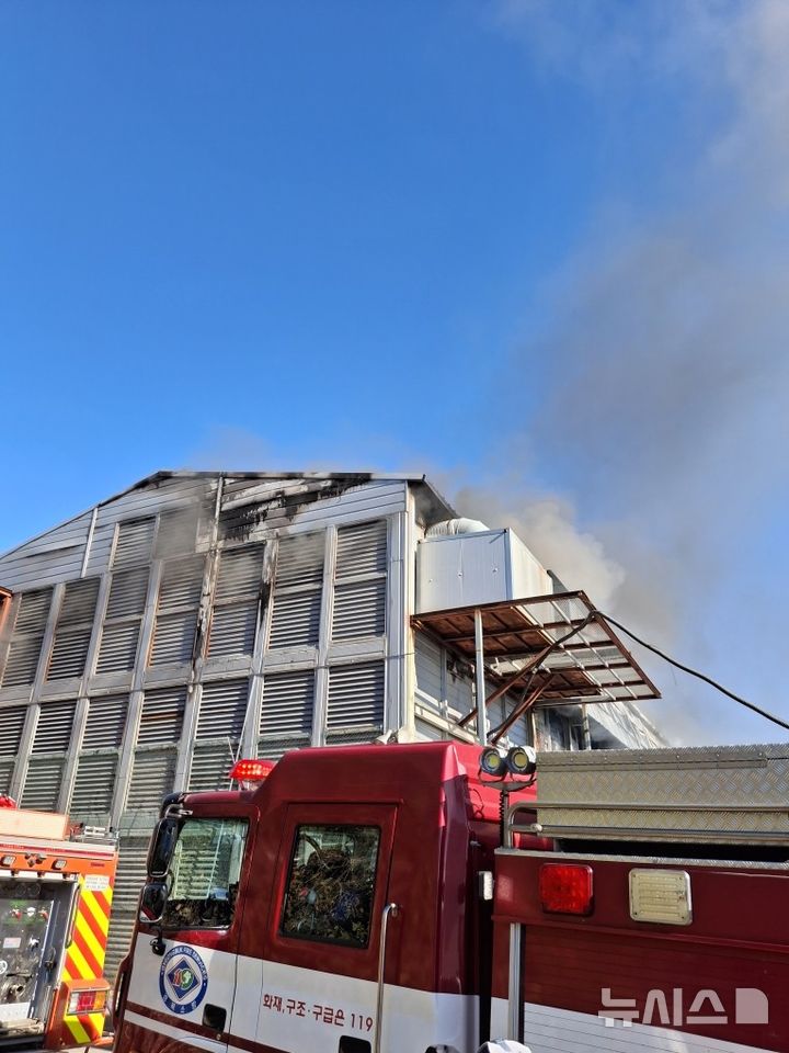 [경주=뉴시스] 경주시 서면 아화리 양계장 화재 현장. (사진=경북소방본부 제공) 2025.11.12. photo@newsis.com 