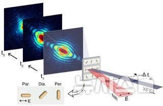 [포항=뉴시스] 송종욱 기자 = 포스텍 연구팀이 세계 최초로 빛을 이용해 나노 세계에서 에너지가 어떻게 흐르고, 변하는지 실시간으로 조종하고 관찰하는 데 성공했다. 사진은 빛의 세기에 따라 금 나노 막대가 변형되는 과정을 포착한 영상. (사진=포스텍 제공) 2025.11.12. photo@newsis.com