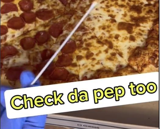 미국의 미생물학자가 틱톡에 올린 테이크아웃 피자 박테리아 증식 비교 실험영상이 화제다(사진=데일리메일 캡처)2025.11.12. *재판매 및 DB 금지