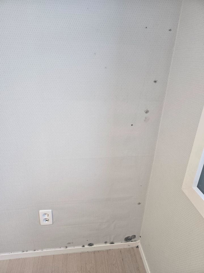 [뉴시스] 온라인 커뮤니티 보배드림에 올라온 '신축아파트 내부에 철근이 튀어나왔습니다 어떻게 해야되나요?'라는 제목의 게시글에 첨부된 사진. (사진=보배드림) 2025.11.12 *재판매 및 DB 금지