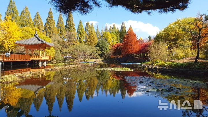 [창원=뉴시스]경남 진주시 이반성면 경상남도수목원의 가을.(사진=경상남도산림환경연구원 제공) 2025.11.12. photo@newsis.com