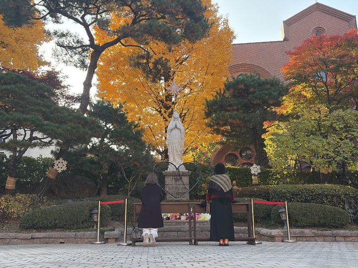 [서울=뉴시스] 전수현 인턴 기자 = 12일 서울 중구 명동성당에서 기도하는 학부모들의 모습. 2025.11.12 *재판매 및 DB 금지