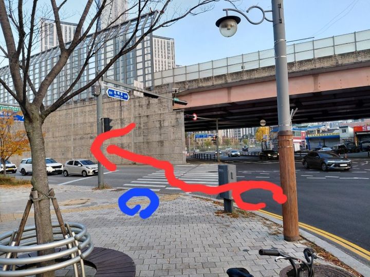 [뉴시스] 빨간색 원에 배달기사가 있었고, 파란색 원에 사연자 A씨가 있었다. (사진='보배드림' 캡처) *재판매 및 DB금지 *재판매 및 DB 금지