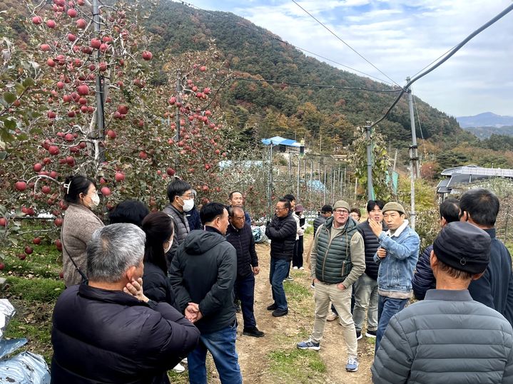 [함양=뉴시스] 함양군 뉴질랜드 사과수형 해외전문가 초청 교육 (사진=함양군 제공) 2025. 11. 12. photo@newsis.com *재판매 및 DB 금지