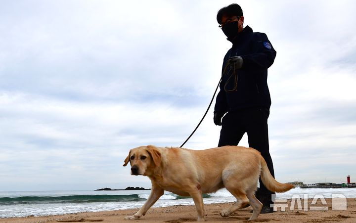 [포항=뉴시스] 송종욱 기자 = 12일 포항시 북구 흥해읍 오도리 해안에서 해경이 마약 탐지견을 동원해 마약을 찾기 위해 수색하고 있다. 2025.11.12. sjw@newsis.com