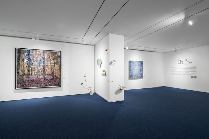 [서울=뉴시스] 이은우 작가 전시 전경. 한독의약박물관(음성) 생명갤러리 (사진촬영 전병철, 사진제공 한독의약박물관) 2025.11.12. photo@newsis.com *재판매 및 DB 금지