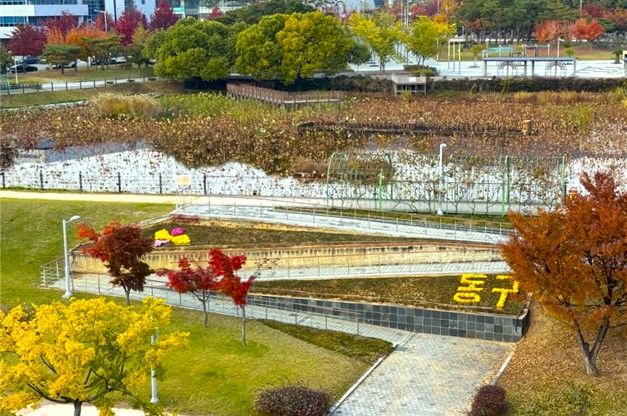 [대구=뉴시스] 대구 동구는 가을을 맞아 혁신동 신서중앙공원에 국화 750본을 식재했다. (사진=대구 동구 제공) 2025.11.12. photo@newsis.com *재판매 및 DB 금지