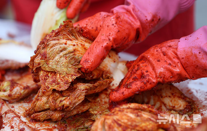 [대구=뉴시스] 이무열 기자 = 대구 동구 아양아트센터 앞에서 열린 ‘2025 사랑플러스 김장 나눔’ 행사에서 새마을부녀회 등 봉사자 500여명이 배추를 양념에 버무리고 있다. 2025.11.12. lmy@newsis.com