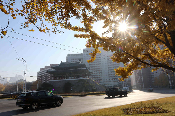 [평양=AP/뉴시스] 지난 12일 북한 평양의 보통강구역을 지나는 차량들. 평양에서 개인 소유 차량에만 발급되는 노란색 번호판을 단 차량들이 크게 늘었다. 2025.11.19.