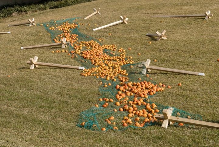 홍시의 초대, 2025 *재판매 및 DB 금지