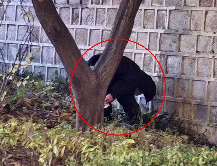 [서울=뉴시스] 중국인으로 추정되는 남성이 경복궁에서 용변을 보는 모습 (사진=서경덕 교수팀 제공) 2025.11.13. photo@newsis.com *재판매 및 DB 금지