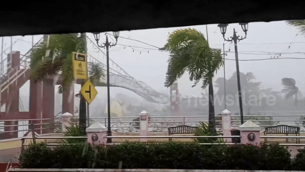 [뉴시스] 제26호 태풍 풍웡이 만든 비바람에 흔들리는 카말리간 현수교의 모습.(사진=독냔) 2025.11.09. *재판매 및 DB 금지
