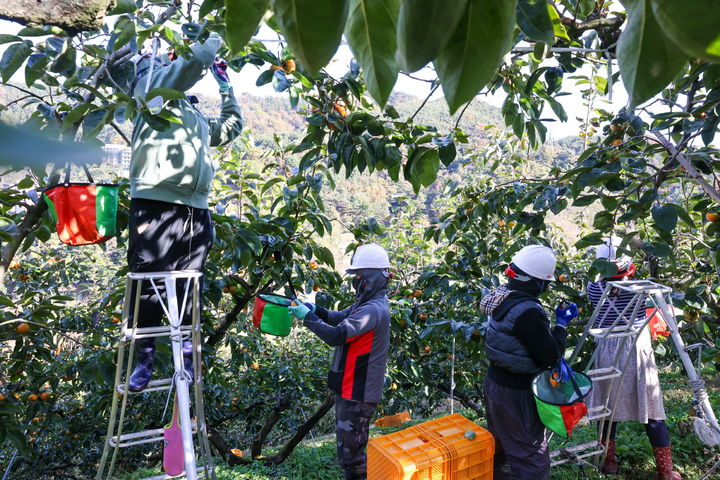 [진주=뉴시스]진주시, 농작업 안전수칙 준수 당부.(사진=진주시 제공).2025.11.13.photo@newsis.com *재판매 및 DB 금지
