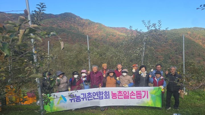 [거창=뉴시스] 거창군귀농귀촌연합회 농번기 사과 수확 일손돕기 (사진=거창군 제공) 2025. 11. 13. photo@newsis.com&nbsp; *재판매 및 DB 금지