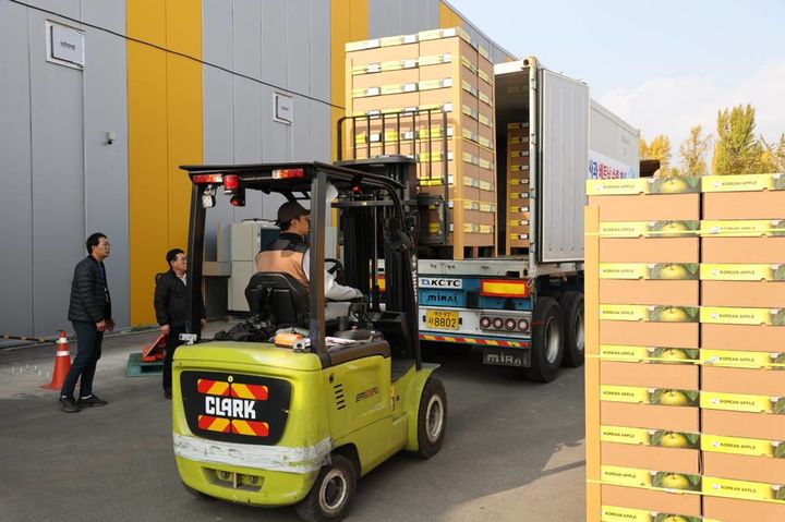 [보은=뉴시스] 13일 충북 보은군 삼승면 과수거점산지유통센터(APC)에서 베트남 하노이로 수출할 ‘결초보은 사과' 5.4t을 차량에 싣고 있다. 이 물량은 부산항을 통해 하노이 롯데마트까지 수송한다. (사진=보은군 제공) 2025.11.13. photo@newsis.com *재판매 및 DB 금지