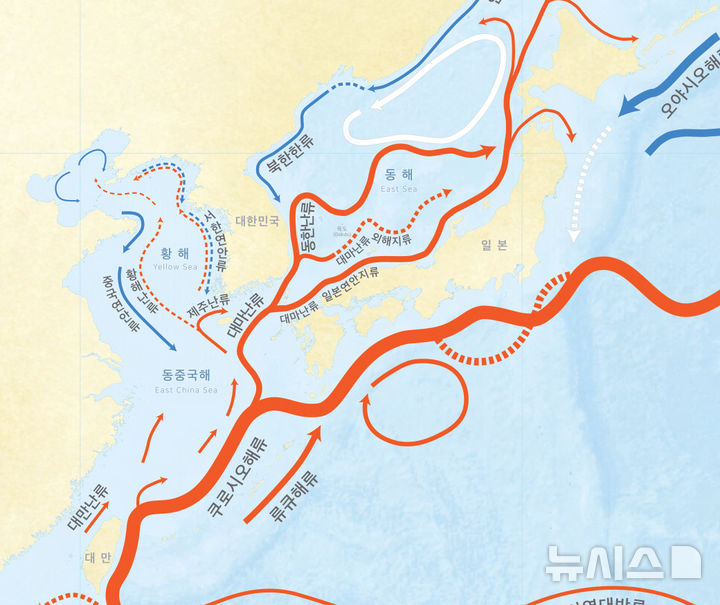 [제주=뉴시스] 해류 모식도. (사진=국립해양조사원 홈페이지 갈무리) 2025.11.13. photo@newsis.com