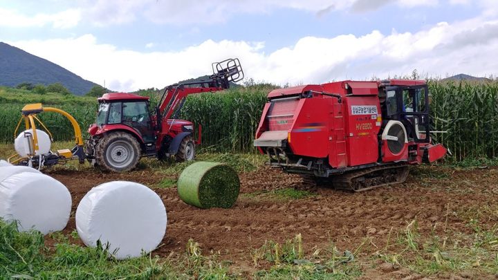 조사료 수확 농작업 (사진=뉴시스DB) *재판매 및 DB 금지