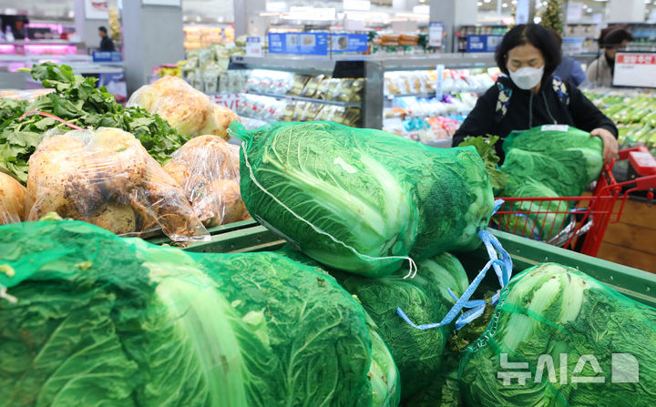 대형마트를 찾은 고객이 김장에 필요한 농산물을 살펴보고 있다. (사진=뉴시스 DB) jini@newsis.com