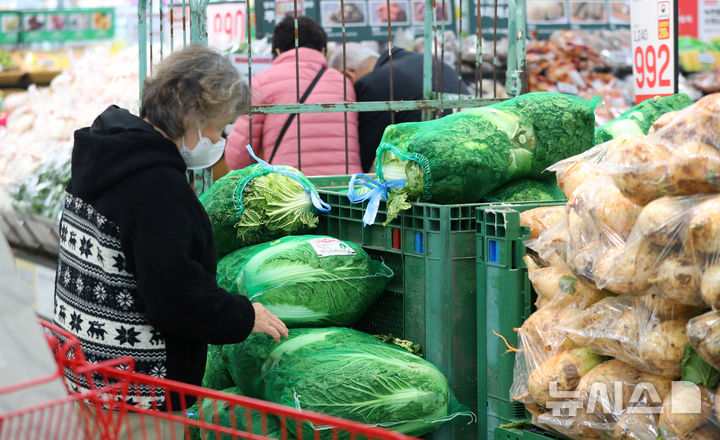 대형마트를 찾은 소비자가 김장 채소를 살펴보고 있디. (사진=뉴시스 DB)