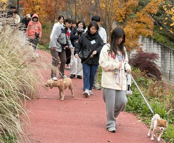 [서울=뉴시스] 성북구, 북악산서 맞춤형 반려견 교육 실시. 2025.11.14. (사진=성북구 제공) *재판매 및 DB 금지