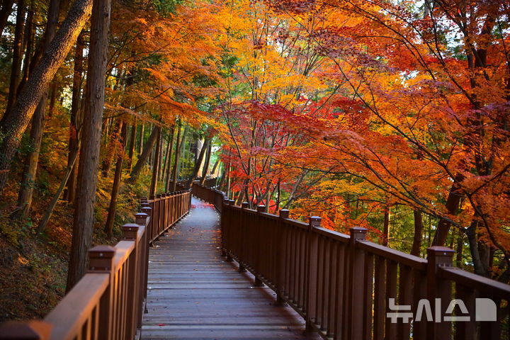 대구·경북, 15도 안팎 큰 일교차…내륙 짙은 안개 유의