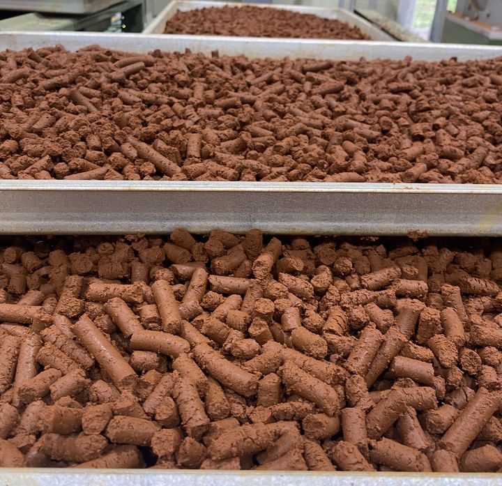 [서울=뉴시스] 한국광해광업공단과 이앤켐솔루션이 공동 개발한 탈황제. (사진=이앤켐솔루션 제공) 2025.11.17. photo@newsis.com *재판매 및 DB 금지