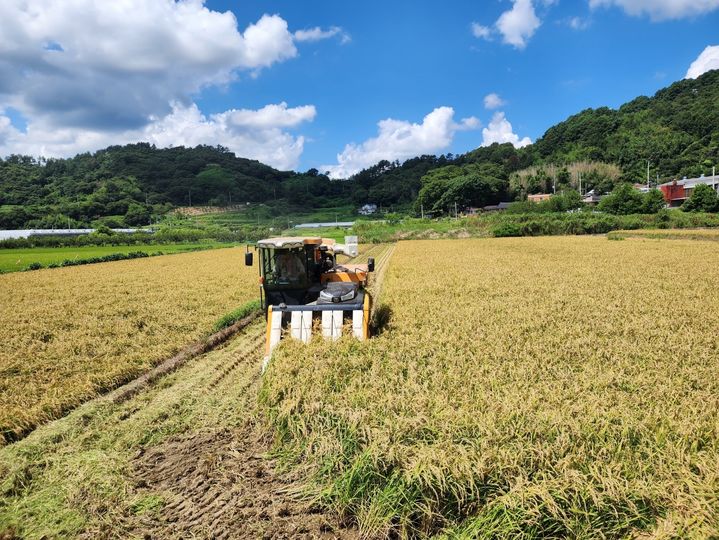 농진청, 올해 벼·콩·감자 등 40여 신품종 보급…30일까지 신청