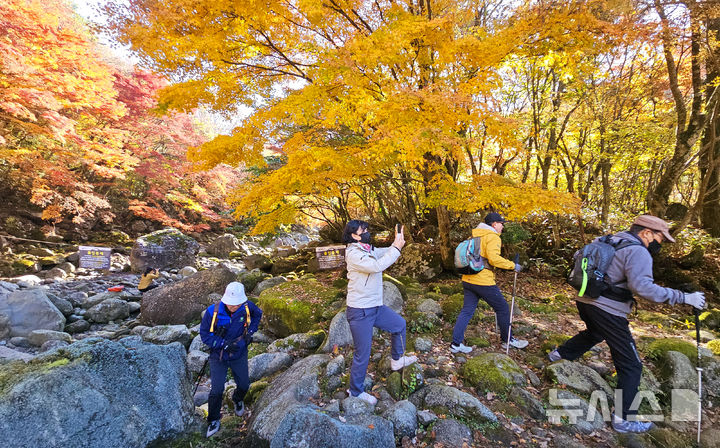 [제주=뉴시스] 우장호 기자 = 맑은 날씨를 보인 14일 오전 제주 한라산 천아계곡을 찾은 탐방객들이 울긋불긋 물든 단풍을 감상하며 막바지로 접어든 가을을 만끽하고 있다. 2025.11.14. woo1223@newsis.com