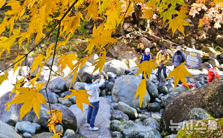 [제주=뉴시스] 우장호 기자 = 맑은 날씨를 보인 14일 오전 제주 한라산 천아계곡을 찾은 탐방객들이 울긋불긋 물든 단풍을 감상하며 막바지로 접어든 가을을 만끽하고 있다. 2025.11.14. woo1223@newsis.com