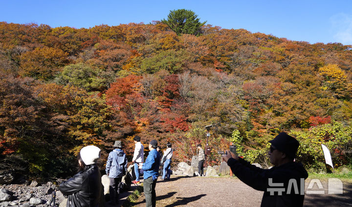 [제주=뉴시스] 우장호 기자 = 맑은 날씨를 보인 14일 오전 제주 한라산 천아계곡을 찾은 탐방객들이 울긋불긋 물든 단풍을 감상하며 막바지로 접어든 가을을 만끽하고 있다. 2025.11.14. woo1223@newsis.com