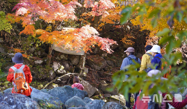[제주=뉴시스] 우장호 기자 = 맑은 날씨를 보인 14일 오전 제주 한라산 천아계곡을 찾은 탐방객들이 울긋불긋 물든 단풍을 감상하며 막바지로 접어든 가을을 만끽하고 있다. 2025.11.14. woo1223@newsis.com