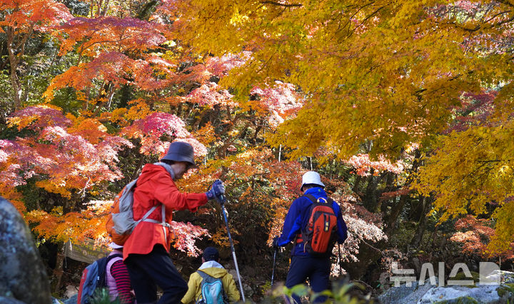 대구·경북 대체로 맑고 큰 일교차…아침 -2도·한낮 20도