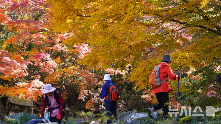 [제주=뉴시스] 우장호 기자 = 맑은 날씨를 보인 14일 오전 제주 한라산 천아계곡을 찾은 탐방객들이 울긋불긋 물든 단풍을 감상하며 막바지로 접어든 가을을 만끽하고 있다. 2025.11.14. woo1223@newsis.com