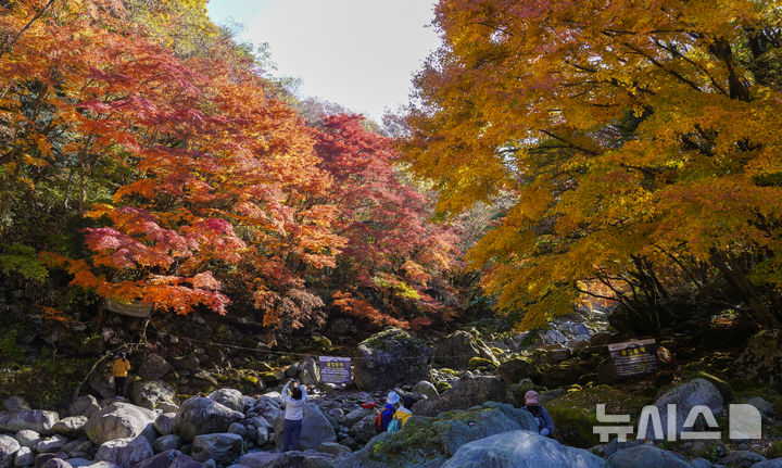 [제주=뉴시스] 우장호 기자 = 맑은 날씨를 보인 14일 오전 제주 한라산 천아계곡을 찾은 탐방객들이 울긋불긋 물든 단풍을 감상하며 막바지로 접어든 가을을 만끽하고 있다. 2025.11.14. woo1223@newsis.com