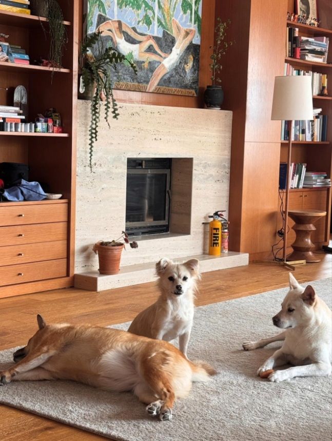 이효리·이상순 60억원 집 내부 공개…반려견이 많네