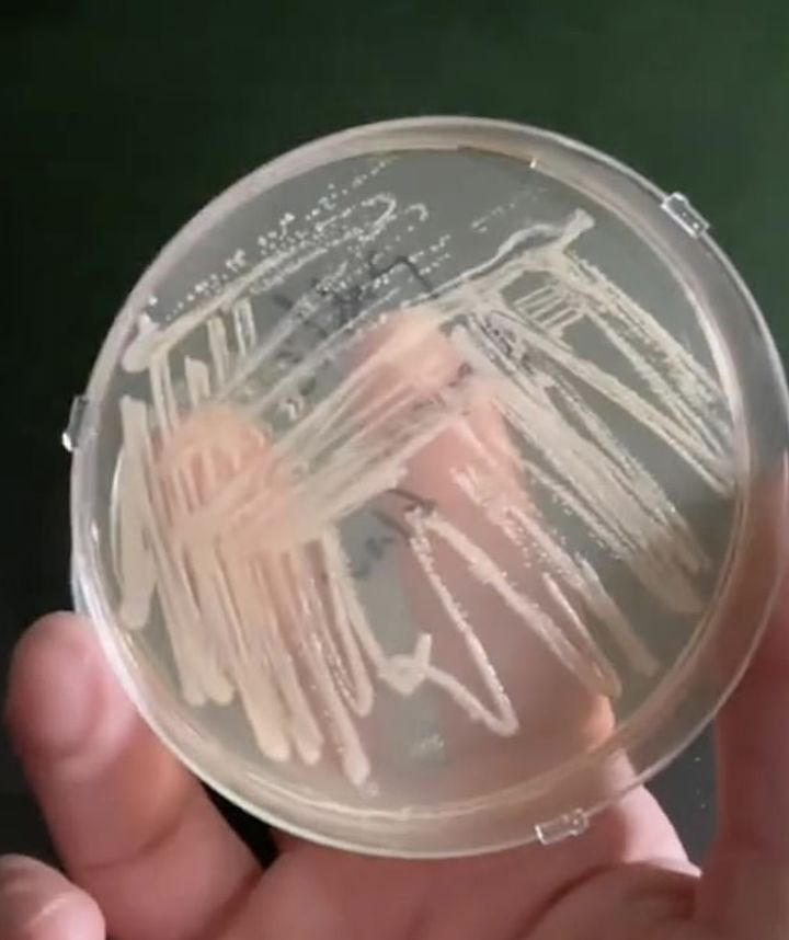 [뉴시스] 운동 후 헬스장 샤워실에서 맨발로 씻는 습관이 세균 번식을 유발한다는 실험 결과가 나왔다. (사진=데일리메일 캡처) *재판매 및 DB금지 *재판매 및 DB 금지