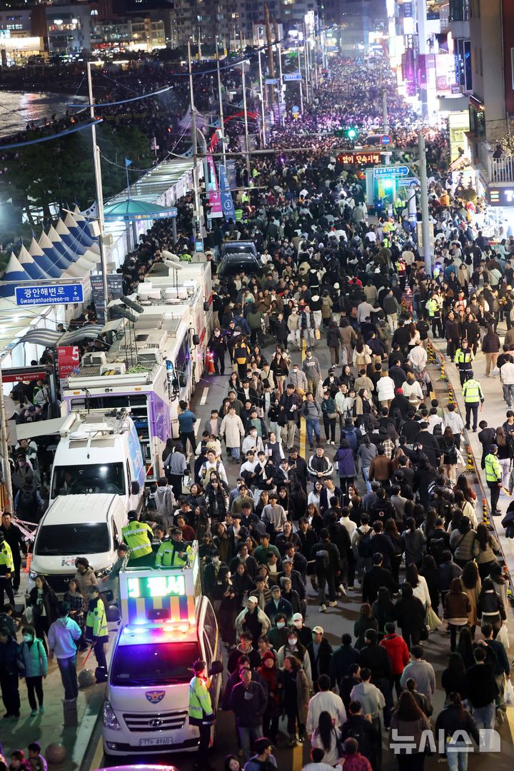 환상의 빛, 하늘 수놓은 부산불꽃축제 [뉴시스Pic]