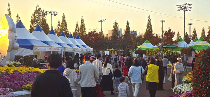 [진주=뉴시스]진주시, ‘2025 국화작품전시회’ 폐막.(사진=진주시 제공).2025.11.16.photo@newsis.com *재판매 및 DB 금지