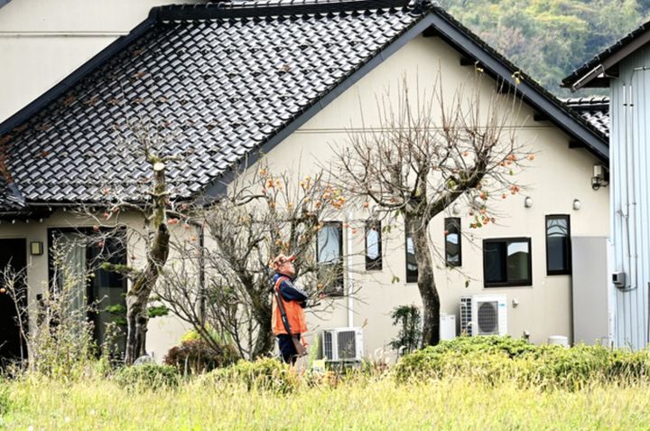 [뉴시스] 오카노우에 씨는 2023년 11월 친척 집 마당에서 감을 수확하던 중 곰에게 얼굴과 다리를 공격당했다. 사진은 당시 마당 감나무의 모습. (사진 = 아사히신문 캡처) 2025.11.16. *재판매 및 DB 금지