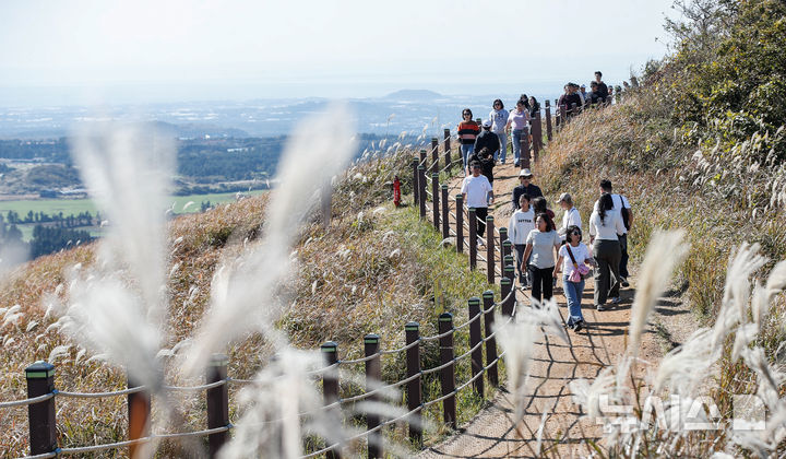 [제주=뉴시스] 우장호 기자 = 포근한 가을 날씨를 보인 16일 오후 제주시 애월읍 새별오름에서 관광객들이 억새를 감상하며 늦가을 정취를 만끽하고 있다.기상청에 따르면 17일부터 찬 대륙고기압의 영향으로 아침 기온이 영하권으로 떨어지는 등 큰 추위가 찾아올 것으로 전망된다. 2025.11.16. woo1223@newsis.com
