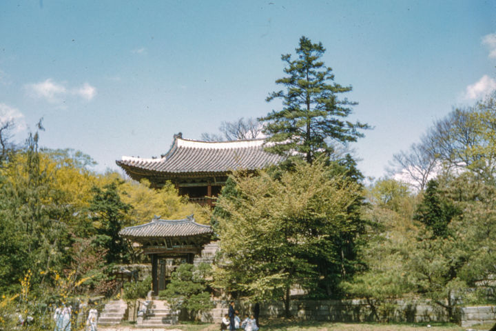 [서울=뉴시스] 제2회 대한민국 전통조경대전 근현대 사진·영상부문 대상 – 할아버지의 비원 방문기 (사진=국가유산청 제공) 2025.11.17. photo@newsis.com *재판매 및 DB 금지