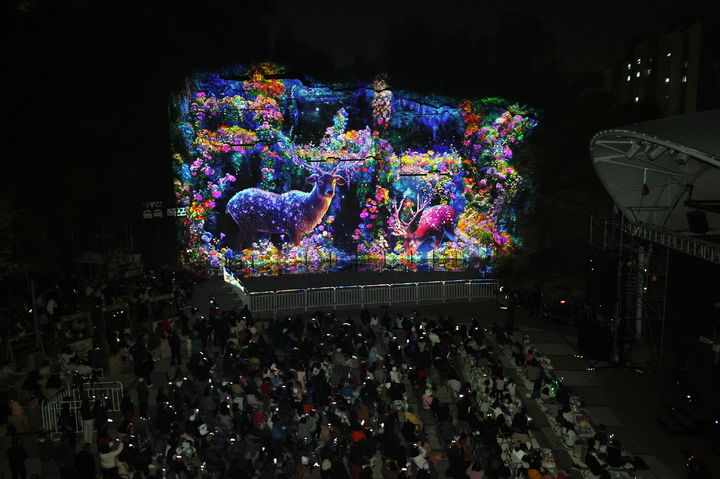 [서울=뉴시스] 지난 15일 배봉산 숲속폭포에서 미디어파사드 작품이 상영되고 있다. 2025.11.17. (사진=동대문구 제공) *재판매 및 DB 금지