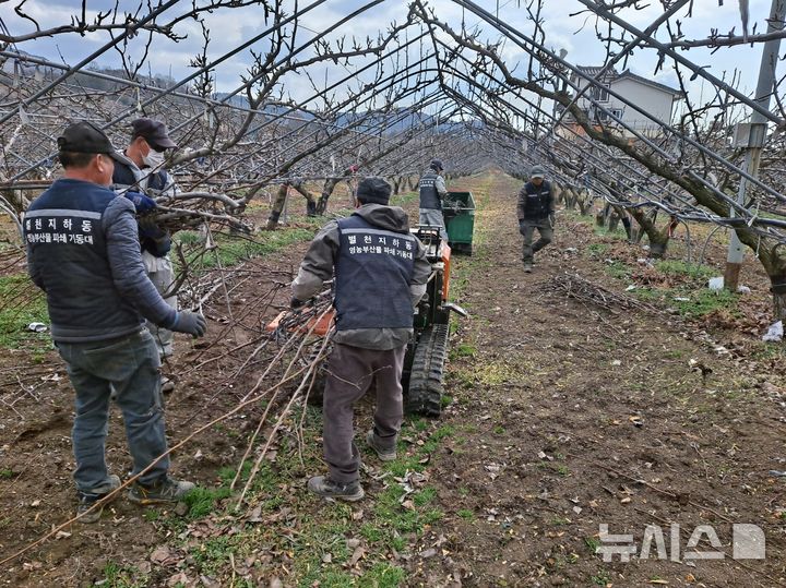 하동군 “영농부산물 처리, 우리에게 맡기세요”…파쇄팀 확대 가동