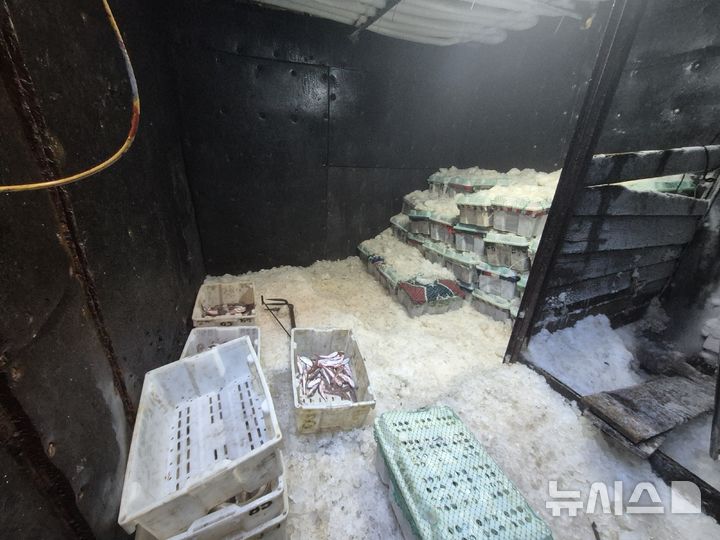 [서귀포=뉴시스] 서귀포해양경찰서가 15일 오전 서귀포시 마라도 해상에서 무허가 중국어선을 나포해 어창을 조사하고 있다. (사진=서귀포해양경찰서 제공) 2025.11.17. photo@newsis.com 