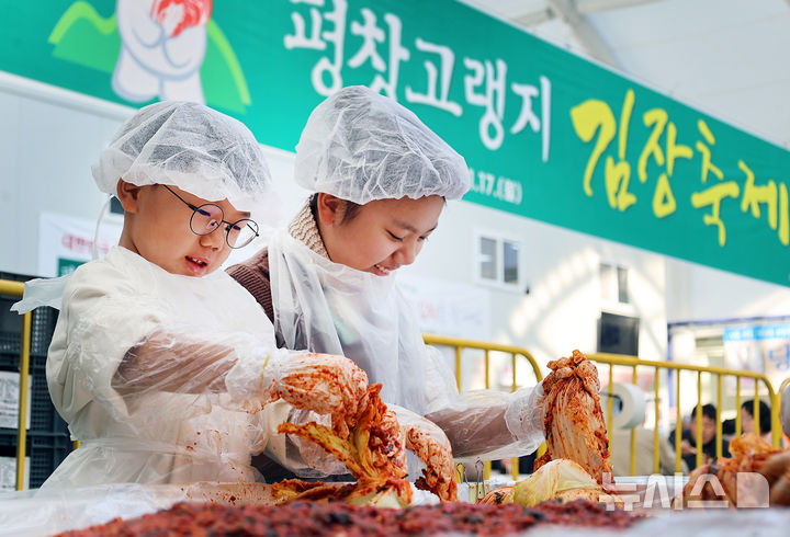 [평창=뉴시스] 17일 '평창고랭지김장축제'가 열리고 있는 강원 평창군 진부면민체육공원 체험장에 축제장을 찾은 방문객들이 즐거운 표정으로 김장을 담그고 있다. (사진=평창군 제공) 2025.11.17. photo@newsis.com